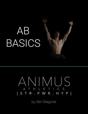 BASICS | 15 DAY at home AB GUIDE